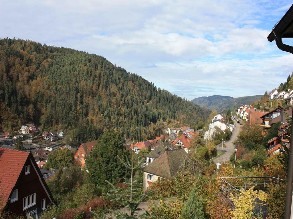 Ferienwohnung King Triberg im Schwarzwald Exterior photo